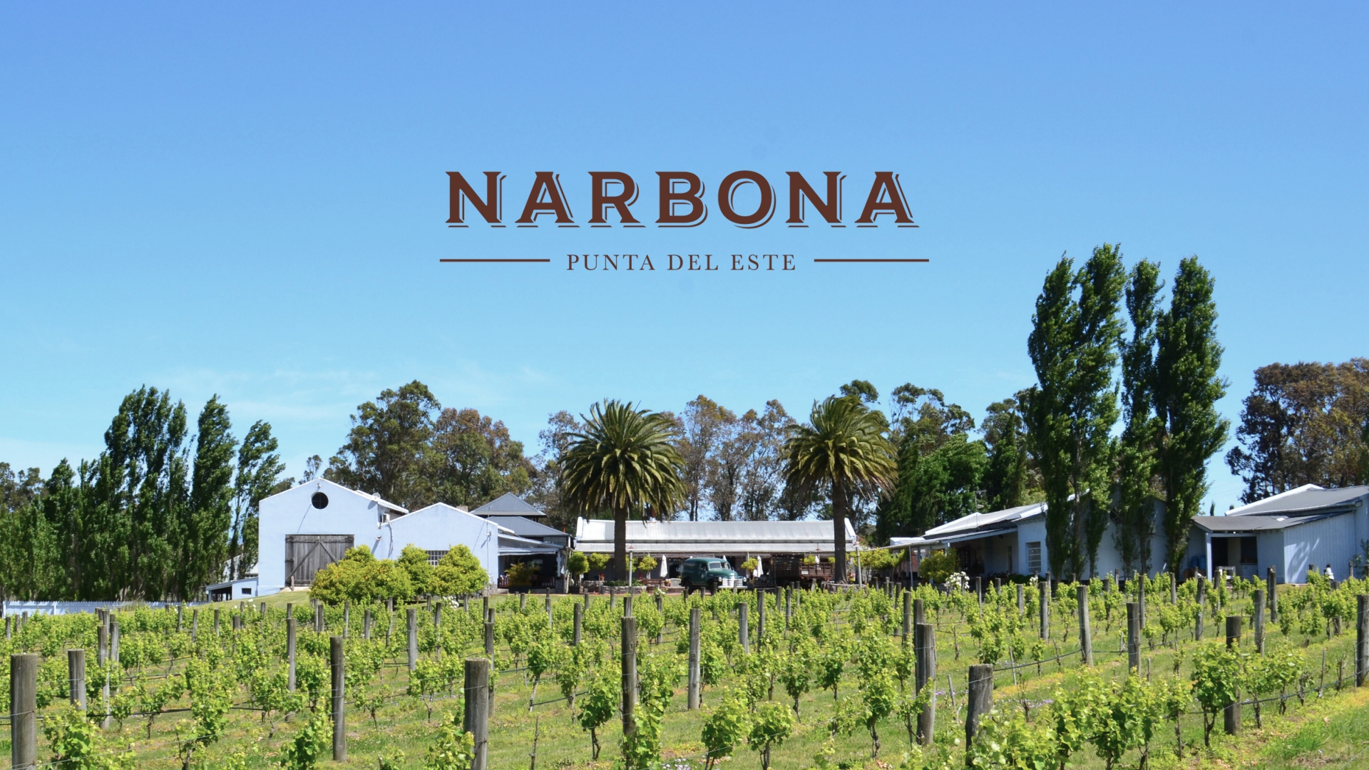 narbona1